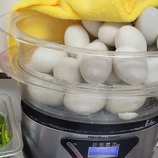 Balot (Duck Egg) - 1 piece