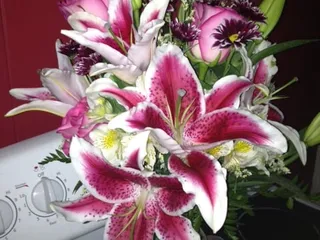 Patsy's Flowers & Ceramics