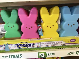 Dollar Tree