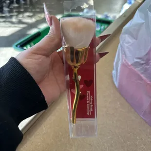 Dollar Tree Store