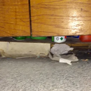 Old build-up of filth everywhere