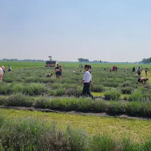 So many people visiting Dollies today.