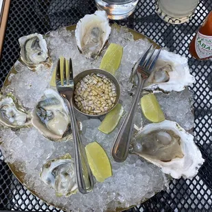 Oysters
