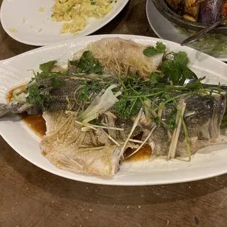 Sea Bass