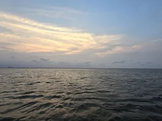 Padre Boat Tours