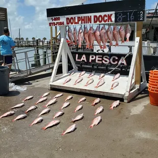Here are the small fish that ended up costing at least 65 dollars a pound.