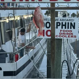 Dolphin Dock