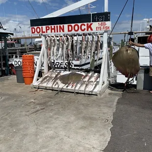 Sept 2021, whole boat&apos;s catch