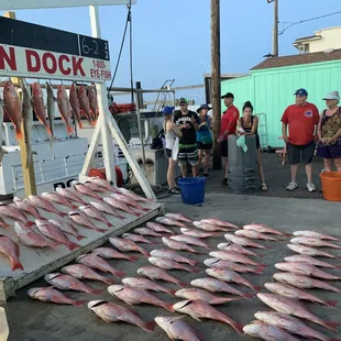 Dolphin Express catch 5 hour June 2 2022