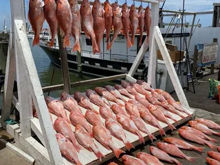 Dolphin Dock Inc.