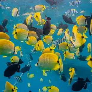 Snorkeling is included on every tour
