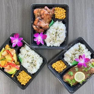 Lunch Included with Dolphin Adventure