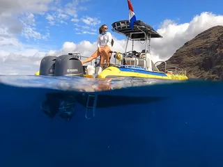 Dolphin Excursions Hawaii