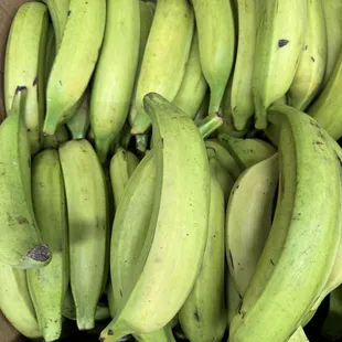 sushi and sashimi, food, sashimi, sushi