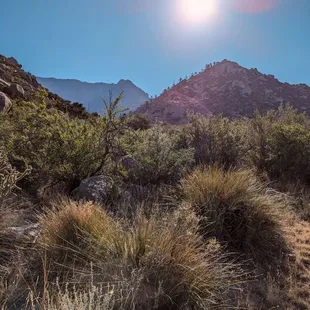 Starting the climb up out of the July heat . . .
