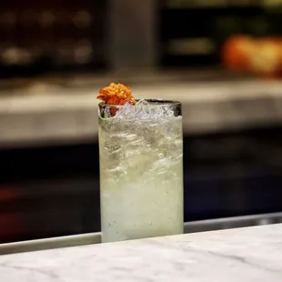 Tequila Soda
 
 Photo by Amanda Spencer