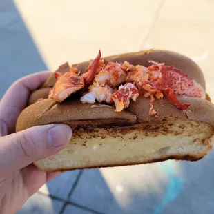 lobster roll