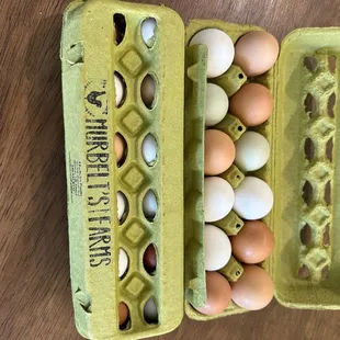 a carton of eggs