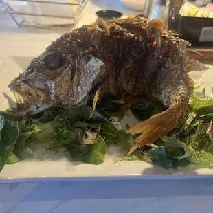 Whole Red Snapper