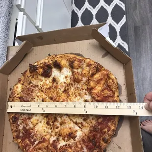 A large pizza should be 14" not 12"