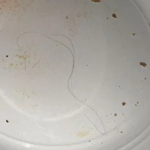 Hair found in pizza