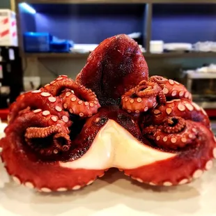 Pretty  Octopus!