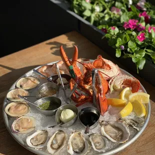 shellfish, food, mussels, oysters and mussels, oysters