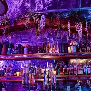 a bar with purple lighting