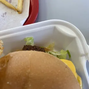 Hair in burger.