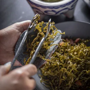 Nopalitos Fritos
Friedtender cactus unique tacos with a touch of bacon, accompanied with heirloom maiz nixtamal tortillas.