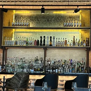 What an incredibly designed bar back.