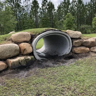 Tunnel and hill for the big dogs
