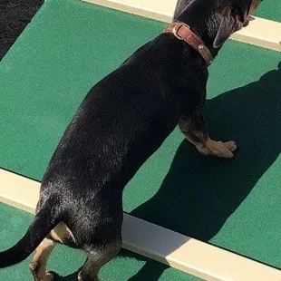 Going up the A frame