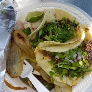 Two barbacoa tacos with grilled onions and radishes