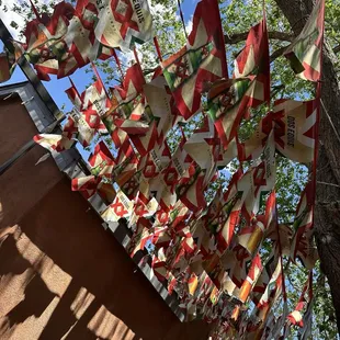 A view from their outdoor patio