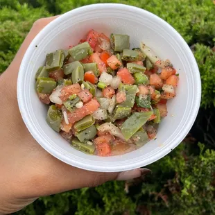 Cactus salsa