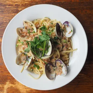 pasta, food, pasta dish