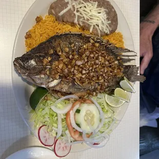 Tilapia fried with garlic