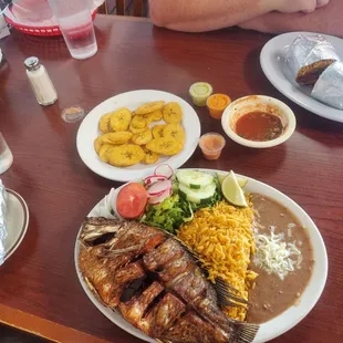 Tostones, Tilapia, chorizo burrito