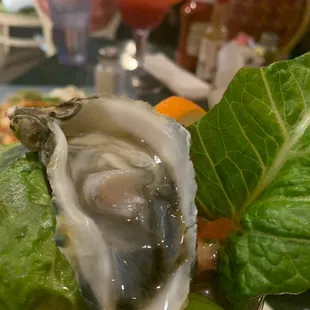 Oyster on campechana