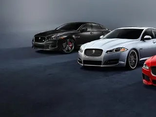 Jaguar Wichita