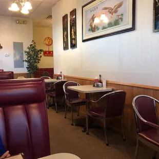 interior, sushi and sashimi