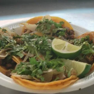 a plate of mexican food
