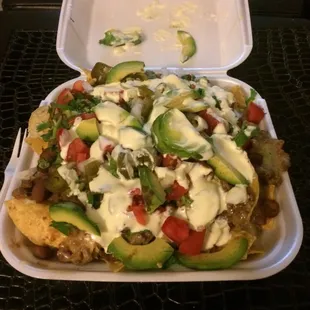 Asada nachos