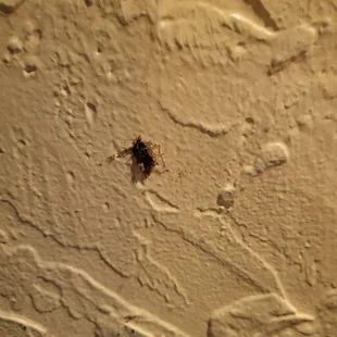 He was not invited to sit with us.