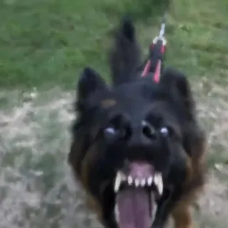 Ben D.