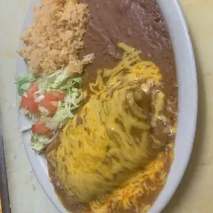 JALISCO BURRITO PLATE