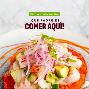 Discover the Magic of Dining with Us! 

With Doña Pepa's authentic recipes and a warm, family-friendly atmosphere, every visit feels like