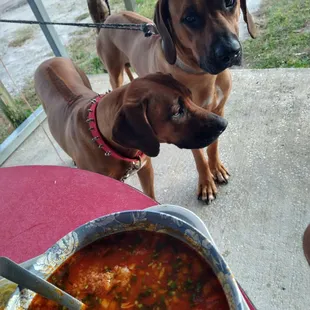 Menudo for a hangover