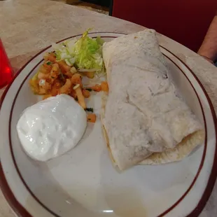 Carne Asada Burrito